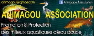 Animagou association